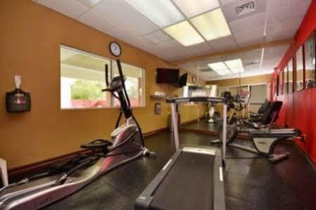 Sonesta Essential Iah Airport Jfk Boulevard - Newly Renovated